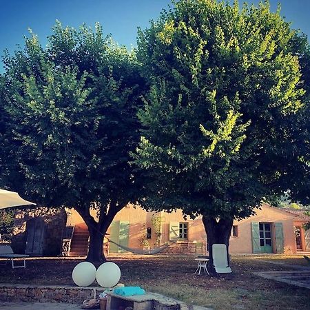 Bastide Provencale De Charme A La Cote D'Azur Villa Callian  Exteriör bild